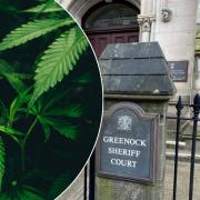 Christopher O'Neill admitted to producing cannabis