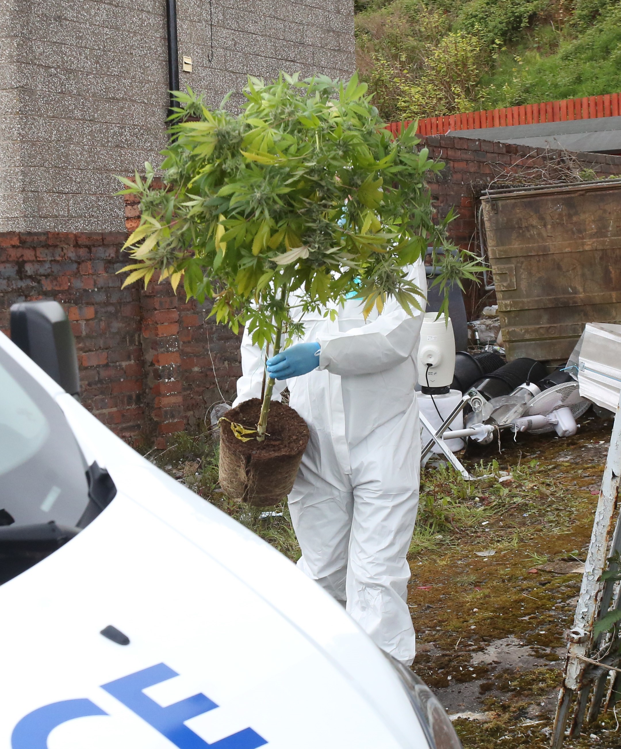 Police cannabis farm raid, Bute Avenue, Port Glasgow.