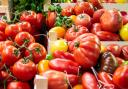 Garden Guru: Tomatoes are nearing the end of growing season