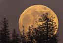 Stargazers are in for a treat as the second supermoon of the month appears this week