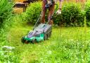 Grass lawn being cut by mower