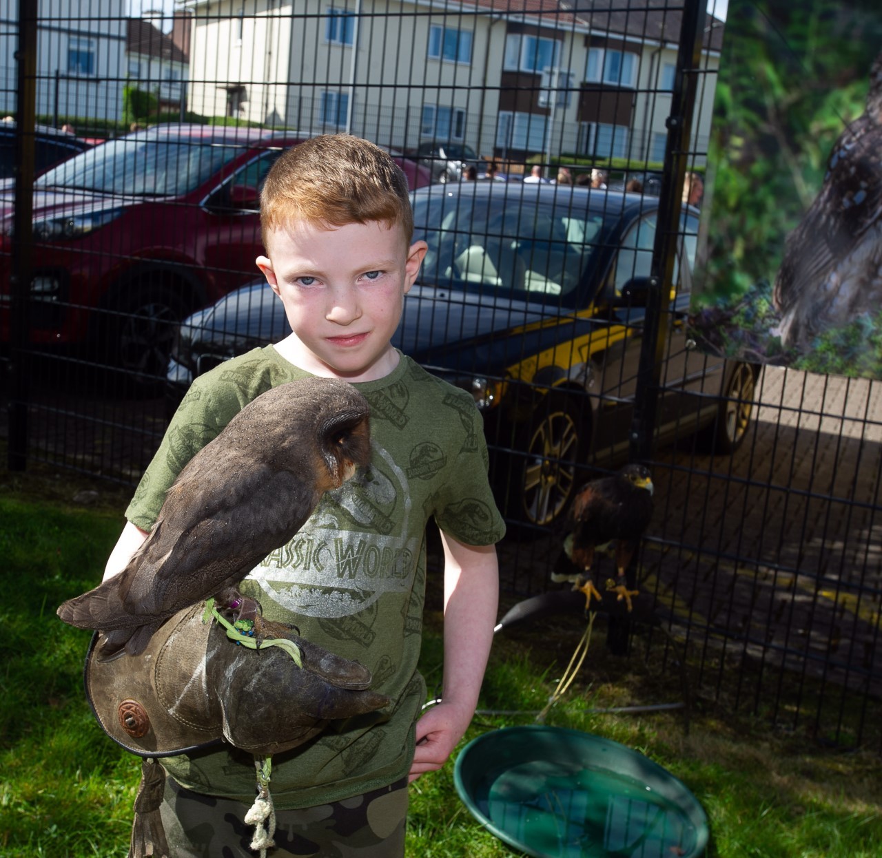 Boy with rare condition thrives thanks to bird of prey centre - Vimarsana News