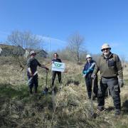 TREE PLANTING AT COVES NATURE RESERVE