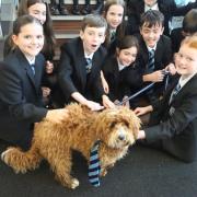 St Columba's High School support dog