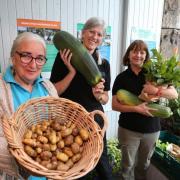 Inverclyde Community Food Network