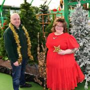Festival of Trees returns at Cardwell Garden Centre
