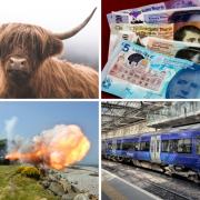 From being drunk in charge of a cow to what you can and can't do with a cannon, here are some of Scotland's strangest laws.