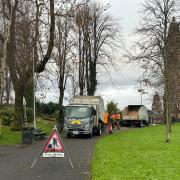 Trees were cut down in Greenock and Gourock this week