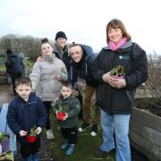 Pots of Love grow across Inverclyde thank to food project