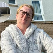 Port Glasgow grandmother who is terrified of birds has had avian roof infestation for over a decade.