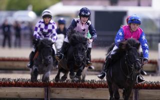 The Royal Windsor Horse Show took place last week