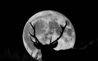 Everything you need to know as Buck Moon set to become visible across Scotland