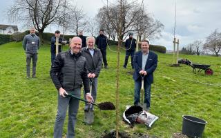 Inverclyde Council launch major tree planting scheme across area including work being carried out at Murdieston Dam.